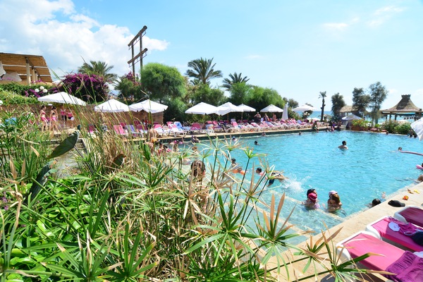 Sunday At Edde Sands